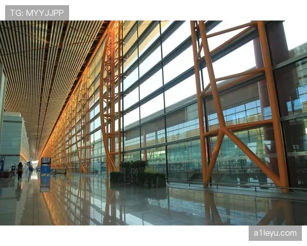 从街头梦想启程：奥斯梅恩稳健迈向职业赛场