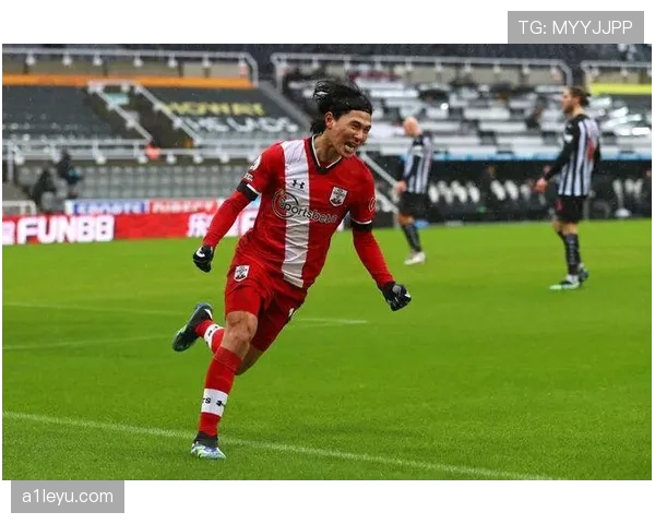 南安普顿新赛季阵容深度解析：未来之星领衔，圣徒再启荣耀征程